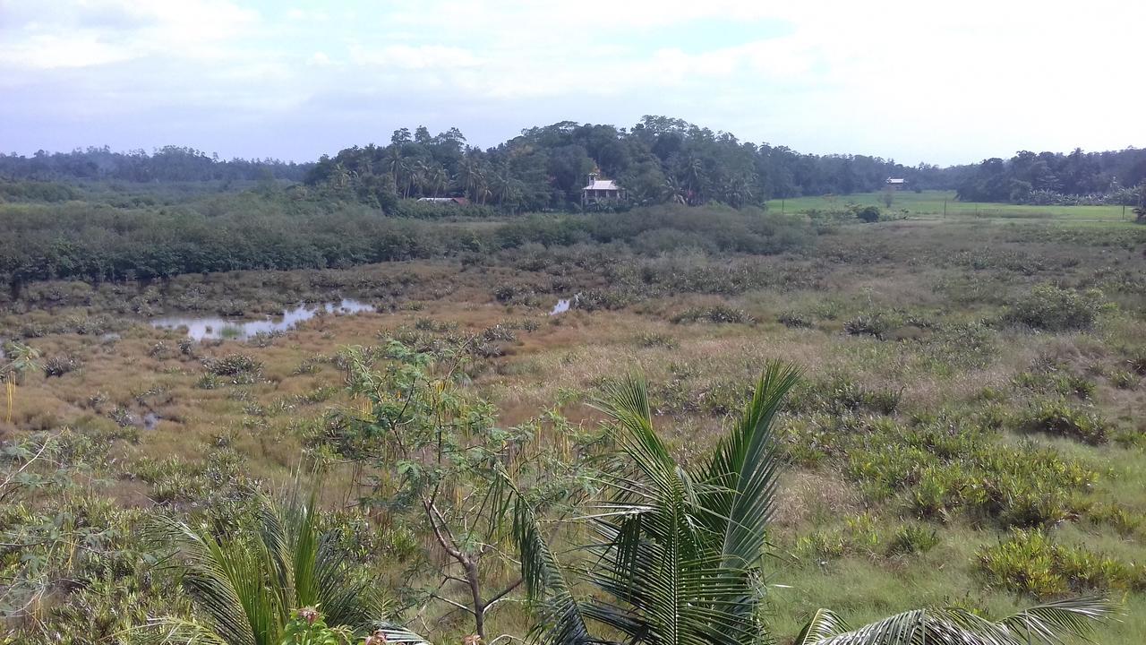 Deutsche Villa Hikkaduwa Exterior foto
